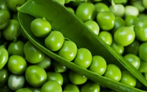 guisantes mendel felix moronta