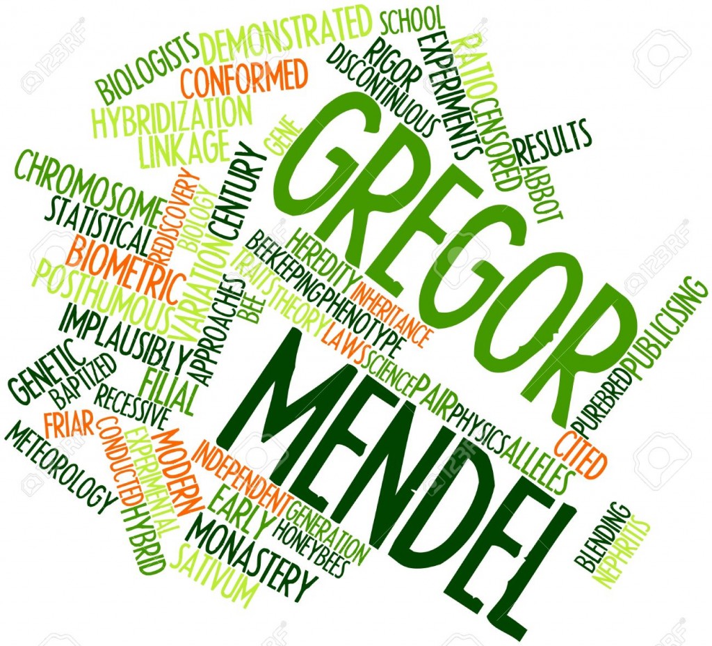 Mendel Felix Moronta