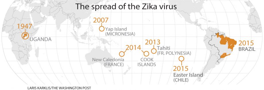 distribucion zika felix moronta